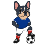威尼斯人飞艇版-威尼斯人最新安卓版APP下载登录官方网页版入口